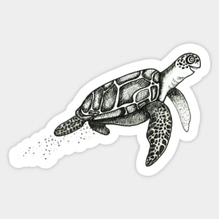 Happy Turtle Sticker